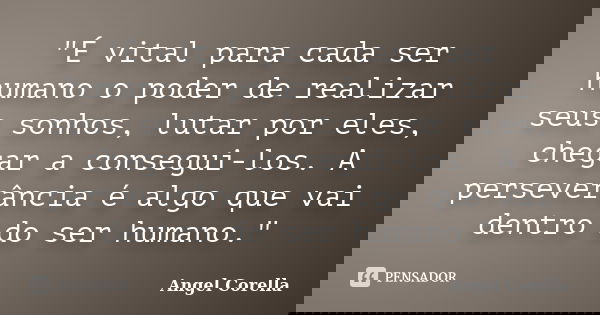 "É vital para cada ser humano o poder de realizar seus sonhos, lutar por eles, chegar a consegui-los. A perseverância é algo que vai dentro do ser humano.&... Frase de Angel Corella.