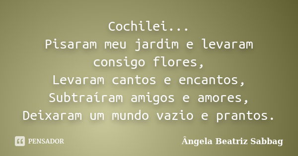 Cochilei... Pisaram meu jardim e levaram consigo flores, Levaram cantos e encantos, Subtraíram amigos e amores, Deixaram um mundo vazio e prantos.... Frase de Ângela Beatriz Sabbag.