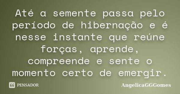 Até a semente passa pelo período de hibernação e é nesse instante que reúne forças, aprende, compreende e sente o momento certo de emergir.... Frase de AngelicaGGGomes.