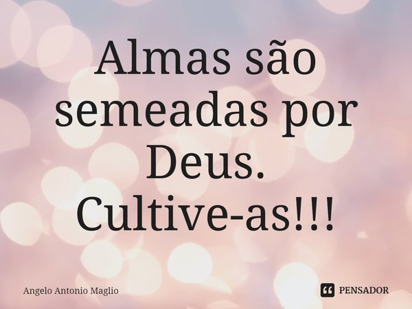 ⁠Almas são semeadas por Deus. Cultive-as!!!... Frase de Angelo Antonio Maglio.