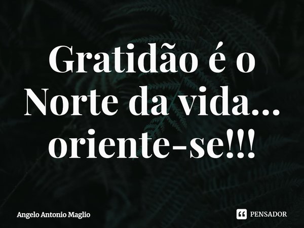 ⁠Gratidão é o Norte da vida… oriente-se!!!... Frase de Angelo Antonio Maglio.