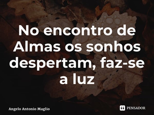 ⁠No encontro de Almas os sonhos despertam, faz-se a luz... Frase de Angelo Antonio Maglio.