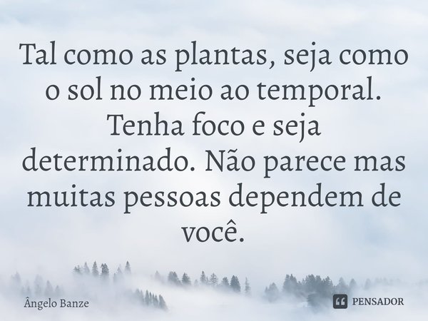 Tal como as plantas, sejacomo o sol no meio ao temporal. Tenha foco e seja determinado. Não parece mas muitas pessoas dependem de você.... Frase de Ângelo Banze.