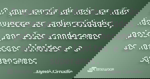 O que seria de nós se não houvesse as adversidades, pois por elas conhecemos os nossos limites e a superamos.... Frase de Angelo Carvalho.