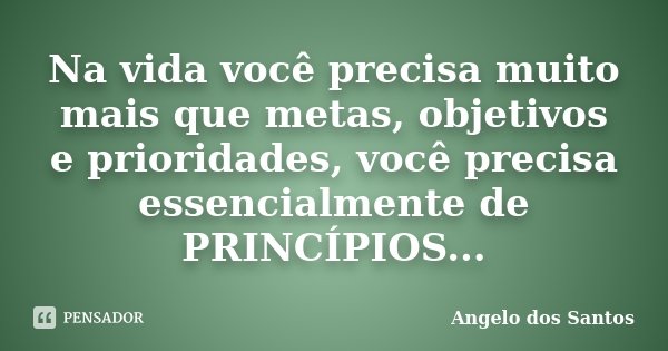 Na vida você precisa muito mais que metas, objetivos e prioridades, você precisa essencialmente de PRINCÍPIOS...... Frase de Angelo dos Santos.