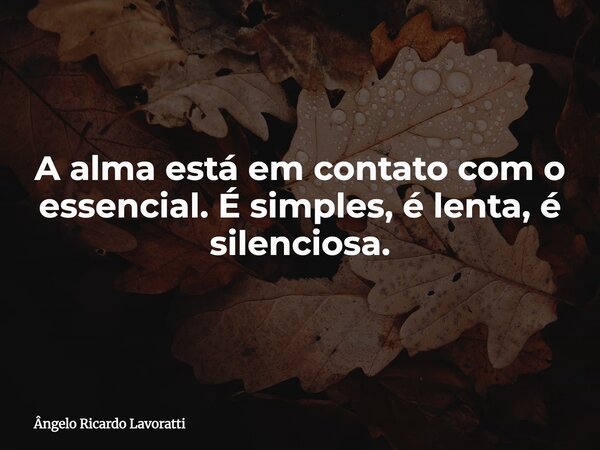 A alma está em contato com o essencial. É simples, é lenta, é silenciosa.... Frase de Ângelo Ricardo Lavoratti.