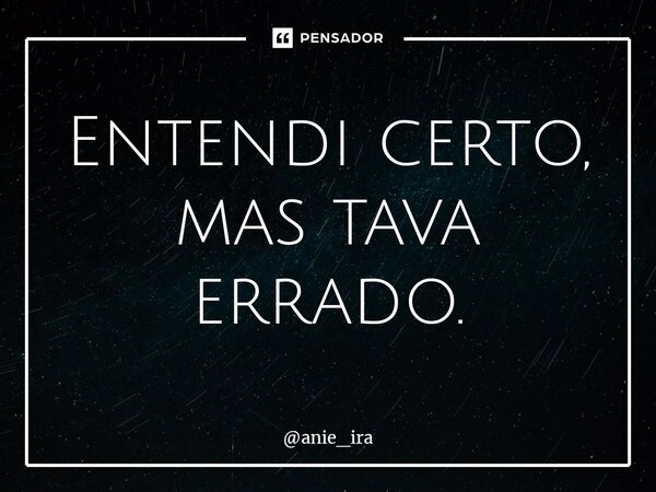 ⁠Entendi certo, mas tava errado.... Frase de anie_ira.