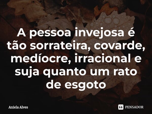 A pessoa invejosa é tão sorrateira, covarde, medíocre, irracional e suja quanto um rato de esgoto... Frase de Aniela Alves.