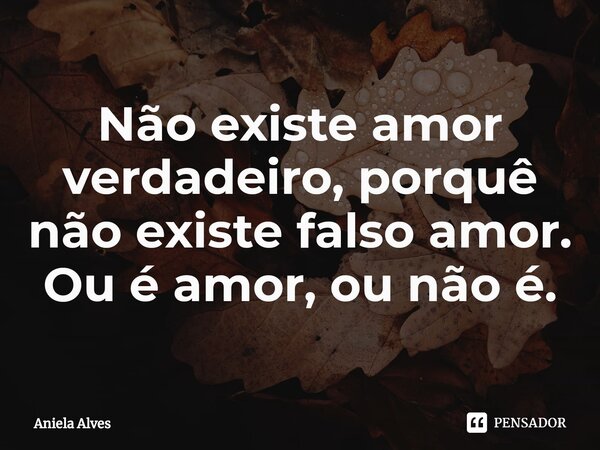 ⁠Não existe amor verdadeiro, porquê não existe falso amor. Ou é amor, ou não é.... Frase de Aniela Alves.