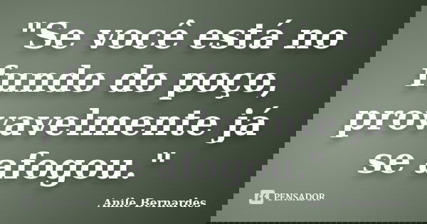 "Se você está no fundo do poço, provavelmente já se afogou."... Frase de Anile Bernardes.