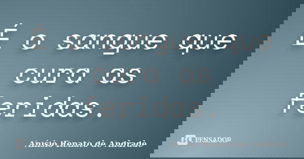 É o sangue que cura as feridas.... Frase de Anísio Renato de Andrade.