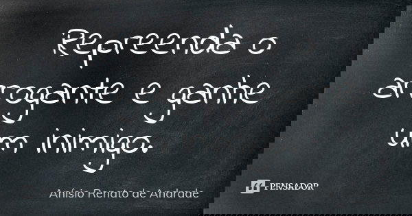 Repreenda o arrogante e ganhe um inimigo.... Frase de Anísio Renato de Andrade.
