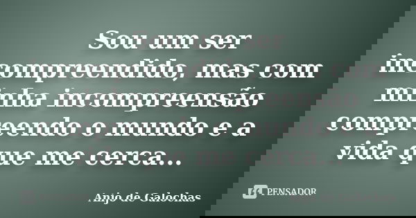 Sou um ser incompreendido, mas com minha incompreensão compreendo o mundo e a vida que me cerca...... Frase de Anjo de Galochas.