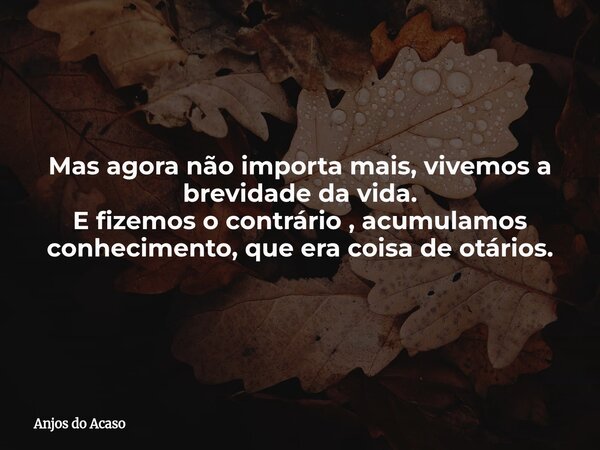 Mas agora não importa mais, vivemos a brevidade da vida. E fizemos o contrário , acumulamos conhecimento, que era coisa de otários.... Frase de Anjos do Acaso.