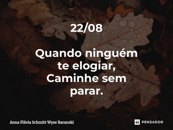 ⁠22/08 Quando ninguém te elogiar, Caminhe sem parar.... Frase de Anna Flávia Schmitt Wyse Baranski.