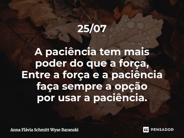 ⁠25/07 A paciência tem mais poder do que a força, Entre a força e a paciência faça sempre a opção por usar a paciência.... Frase de Anna Flávia Schmitt Wyse Baranski.