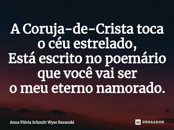 ⁠A Coruja-de-Crista toca o céu estrelado, Está escrito no poemário que você vai ser o meu eterno namorado.... Frase de Anna Flávia Schmitt Wyse Baranski.
