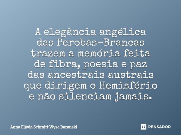 ⁠A elegância angélica das Perobas-Brancas trazem a memória feita de fibra, poesia e paz das ancestrais austrais que dirigem o Hemisfério e não silenciam jamais.... Frase de Anna Flávia Schmitt Wyse Baranski.