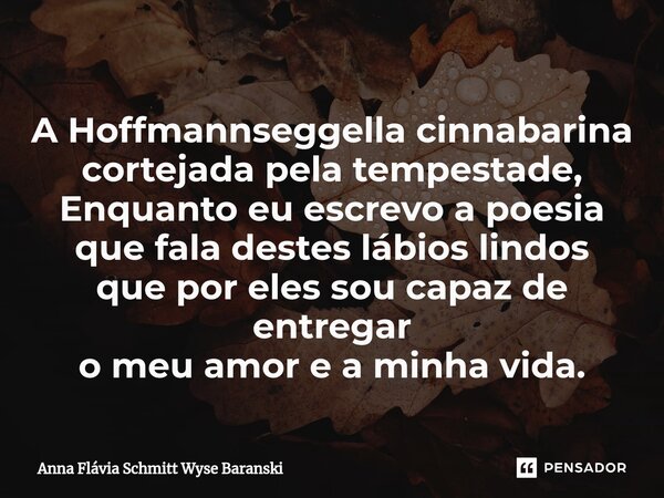 ⁠A Hoffmannseggella cinnabarina cortejada pela tempestade, Enquanto eu escrevo a poesia que fala destes lábios lindos que por eles sou capaz de entregar o meu a... Frase de Anna Flávia Schmitt Wyse Baranski.