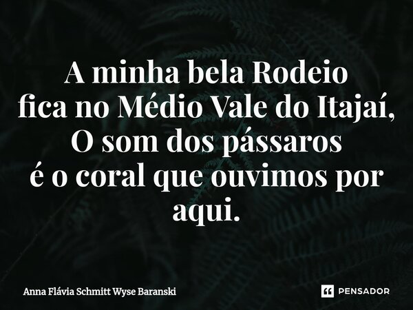 ⁠A minha bela Rodeio fica no Médio Vale do Itajaí, O som dos pássaros é o coral que ouvimos por aqui.... Frase de Anna Flávia Schmitt Wyse Baranski.