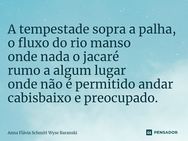 ⁠A tempestade sopra a palha, o fluxo do rio manso onde nada o jacaré rumo a algum lugar onde não é permitido andar cabisbaixo e preocupado.... Frase de Anna Flávia Schmitt Wyse Baranski.