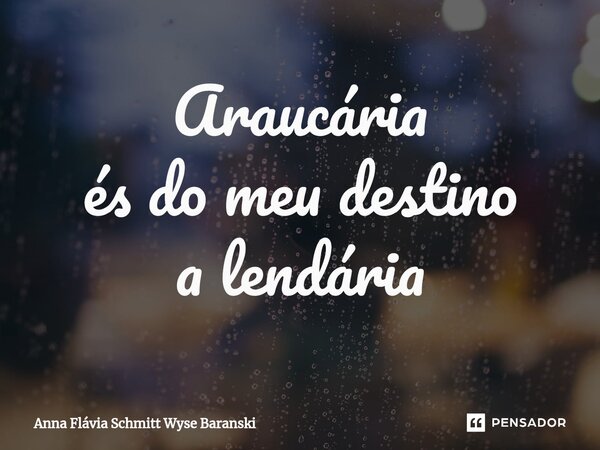 ⁠Araucária és do meu destino a lendária... Frase de Anna Flávia Schmitt Wyse Baranski.