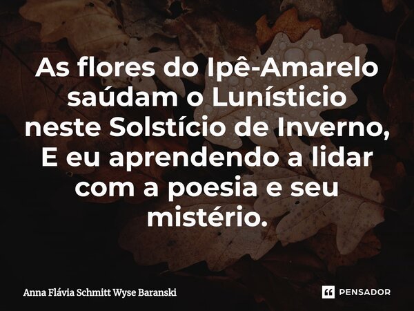 ⁠As flores do Ipê-Amarelo saúdam o Lunísticio neste Solstício de Inverno, E eu aprendendo a lidar com a poesia e seu mistério.... Frase de Anna Flávia Schmitt Wyse Baranski.