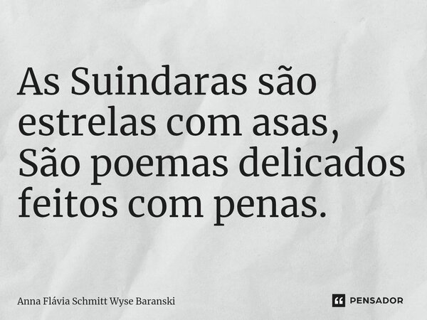 ⁠As Suindaras são estrelas com asas, São poemas delicados feitos com penas.... Frase de Anna Flávia Schmitt Wyse Baranski.