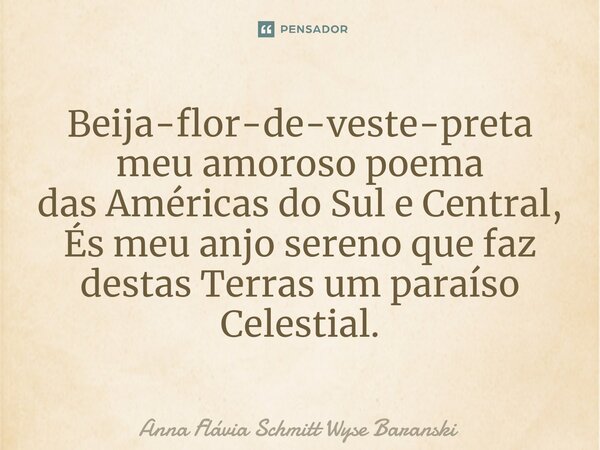 ⁠Beija-flor-de-veste-preta meu amoroso poema das Américas do Sul e Central, És meu anjo sereno que faz destas Terras um paraíso Celestial.... Frase de Anna Flávia Schmitt Wyse Baranski.