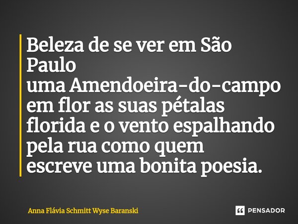 Beleza de se ver em São Paulo uma Amendoeira-do-campo em flor as suas pétalas florida e o vento espalhando pela rua como quem escreve uma bonita poesia.⁠... Frase de Anna Flávia Schmitt Wyse Baranski.
