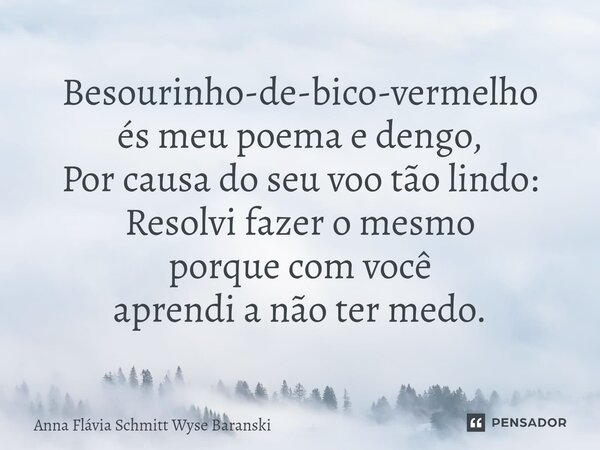 ⁠Besourinho-de-bico-vermelho és meu poema e dengo, Por causa do seu voo tão lindo: Resolvi fazer o mesmo porque com você aprendi a não ter medo.... Frase de Anna Flávia Schmitt Wyse Baranski.