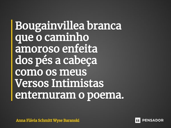 ⁠Bougainvillea branca que o caminho amoroso enfeita dos pés a cabeça como os meus Versos Intimistas enternuram o poema.... Frase de Anna Flávia Schmitt Wyse Baranski.