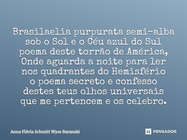 ⁠Brasilaelia purpurata semi-alba sob o Sol e o Céu azul do Sul poema deste torrão de América, Onde aguarda a noite para ler nos quadrantes do Hemisfério o poema... Frase de Anna Flávia Schmitt Wyse Baranski.