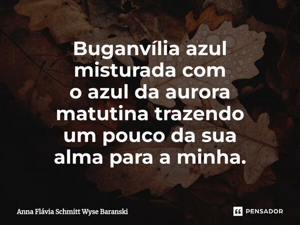 ⁠Buganvília azul misturada com o azul da aurora matutina trazendo um pouco da sua alma para a minha.... Frase de Anna Flávia Schmitt Wyse Baranski.