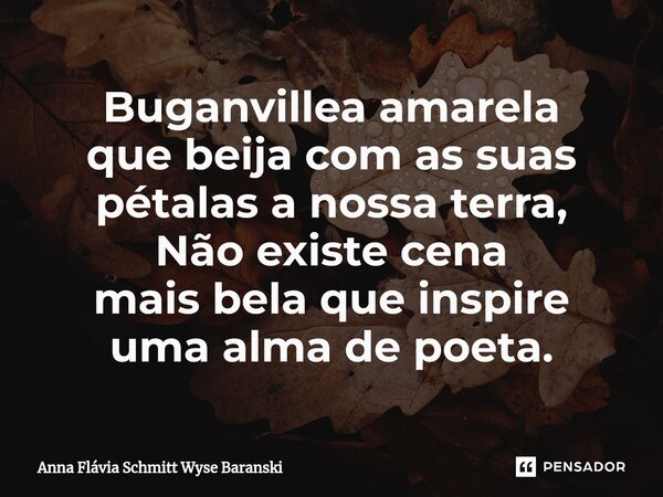 ⁠Buganvillea amarela que beija com as suas pétalas a nossa terra, Não existe cena mais bela que inspire uma alma de poeta.... Frase de Anna Flávia Schmitt Wyse Baranski.