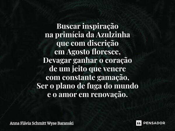⁠Buscar inspiração na primícia da Azulzinha que com discrição em Agosto floresce, Devagar ganhar o coração de um jeito que venere com constante gamação, Ser o p... Frase de Anna Flávia Schmitt Wyse Baranski.