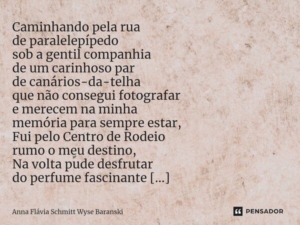 ⁠Caminhando pela rua de paralelepípedo sob a gentil companhia de um carinhoso par de canários-da-telha que não consegui fotografar e merecem na minha memória pa... Frase de Anna Flávia Schmitt Wyse Baranski.