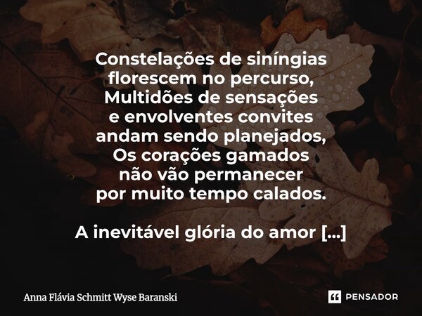 Constelações de siníngias florescem no percurso, Multidões de sensações e envolventes convites andam sendo planejados, Os corações gamados não vão permanecer p... Frase de Anna Flávia Schmitt Wyse Baranski.