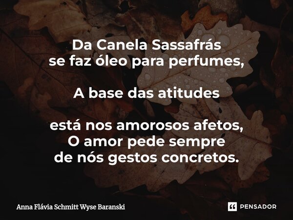 ⁠Da Canela Sassafrás se faz óleo para perfumes, A base das atitudes está nos amorosos afetos, O amor pede sempre de nós gestos concretos.... Frase de Anna Flávia Schmitt Wyse Baranski.