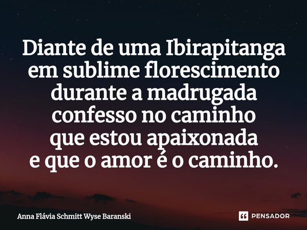 ⁠Diante de uma Ibirapitanga em sublime florescimento durante a madrugada confesso no caminho que estou apaixonada e que o amor é o caminho.... Frase de Anna Flávia Schmitt Wyse Baranski.