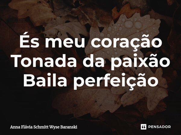 És meu coração Tonada da paixão Baila perfeição⁠... Frase de Anna Flávia Schmitt Wyse Baranski.