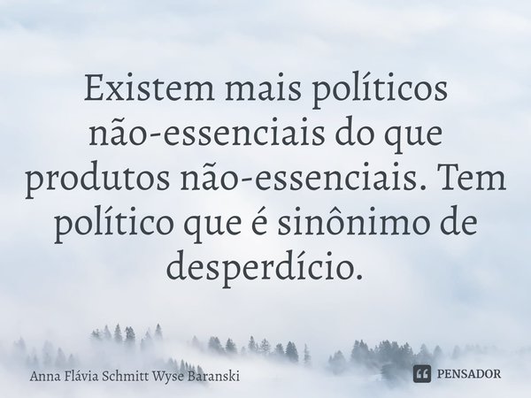 ⁠Existem mais políticos não-essenciais do que produtos não-essenciais. Tem político que é sinônimo de desperdício.... Frase de Anna Flávia Schmitt Wyse Baranski.