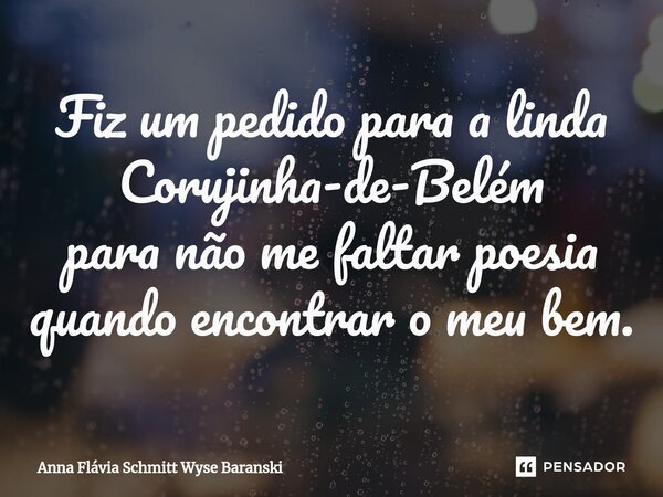 ⁠Fiz um pedido para a linda Corujinha-de-Belém para não me faltar poesia quando encontrar o meu bem.... Frase de Anna Flávia Schmitt Wyse Baranski.