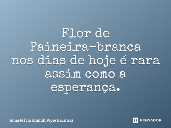 ⁠Flor de Paineira-branca nos dias de hoje é rara assim como a esperança.... Frase de Anna Flávia Schmitt Wyse Baranski.