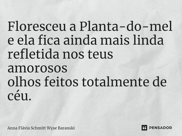 ⁠Floresceu a Planta-do-mel e ela fica ainda mais linda refletida nos teus amorosos olhos feitos totalmente de céu.... Frase de Anna Flávia Schmitt Wyse Baranski.