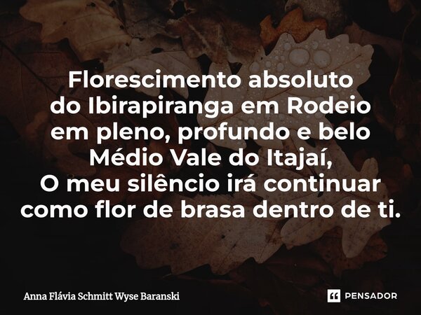 ⁠Florescimento absoluto do Ibirapiranga em Rodeio em pleno, profundo e belo Médio Vale do Itajaí, O meu silêncio irá continuar como flor de brasa dentro de ti.... Frase de Anna Flávia Schmitt Wyse Baranski.