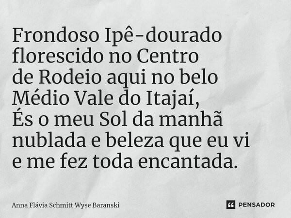 ⁠Frondoso Ipê-dourado florescido no Centro de Rodeio aqui no belo Médio Vale do Itajaí, És o meu Sol da manhã nublada e beleza que eu vi e me fez toda encantada... Frase de Anna Flávia Schmitt Wyse Baranski.