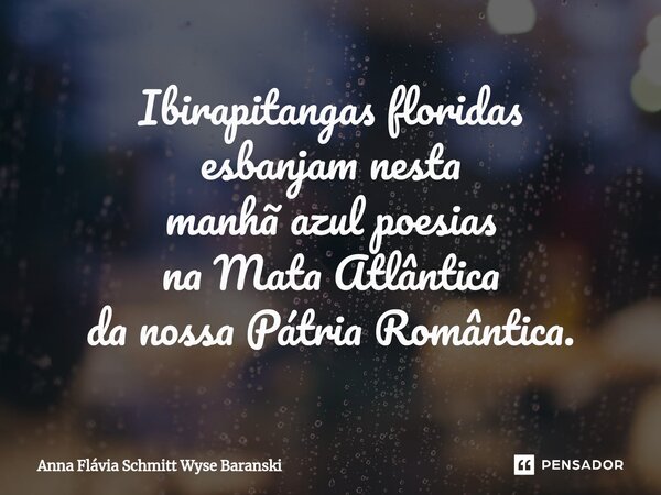 ⁠Ibirapitangas floridas esbanjam nesta manhã azul poesias na Mata Atlântica da nossa Pátria Romântica.... Frase de Anna Flávia Schmitt Wyse Baranski.