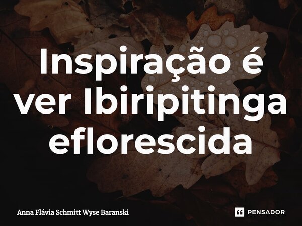 ⁠Inspiração é ver Ibiripitinga eflorescida... Frase de Anna Flávia Schmitt Wyse Baranski.