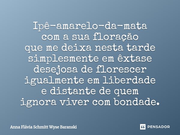 ⁠Ipê-amarelo-da-mata com a sua floração que me deixa nesta tarde simplesmente em êxtase desejosa de florescer igualmente em liberdade e distante de quem ignora ... Frase de Anna Flávia Schmitt Wyse Baranski.